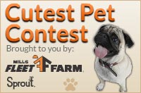 Fleet Farm Cutest Pet Contest