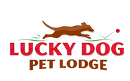Lucky Dog Pet Lodge