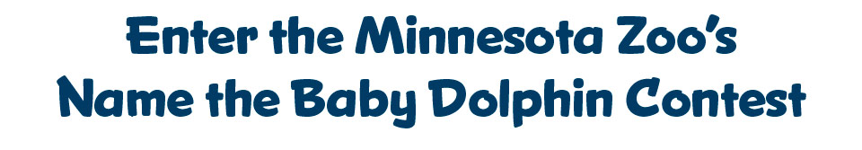 Minnesota Zoo’s Name the Baby Dolphin Contest