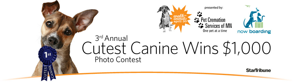 3rd Annual Cutest Canine Contest Presented by: the Animal Humane Society's Walk for Animals, Pet Cremation Services of MN, and Now Boarding Pets